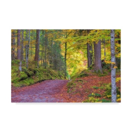 Cora Niele 'Wood Walk Painting' Canvas Art,22x32